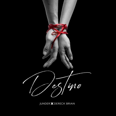 Destino - Single