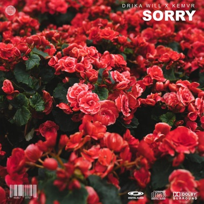 Sorry (feat. KEMVR) - Single