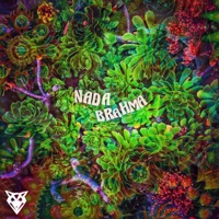 Nada Brahma - Single - Juliane Wolf & Robert Babicz