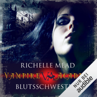 Richelle Mead - Blutsschwestern: Vampire Academy 1 artwork
