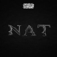 Nat - Single - PMG Flex
