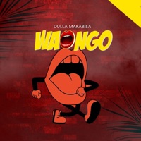 Dulla Makabila - Waongo