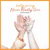 Never Really Over (R3HAB Remix)