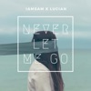 Never Let Me Go - Single