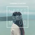 Never Let Me Go