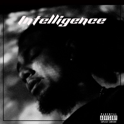 Intelligence - Single