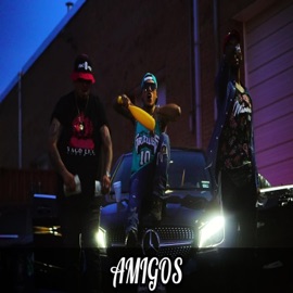 Amigos (feat. Vago) T-Work
