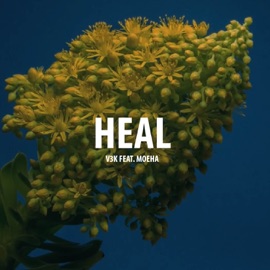 Heal (feat. Moeha) V3K