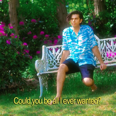 All I Ever Wanted - Single