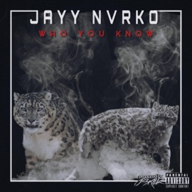 Who You Know (feat. Trey Catalyst) JAYY NVRKO