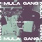 Mula Gang - King jay lyrics