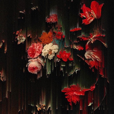 Don't Fade Away - Single