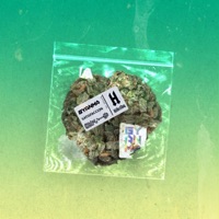 Satisfacción - Single - Gyanma