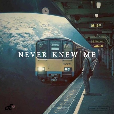 Never Knew Me - Single