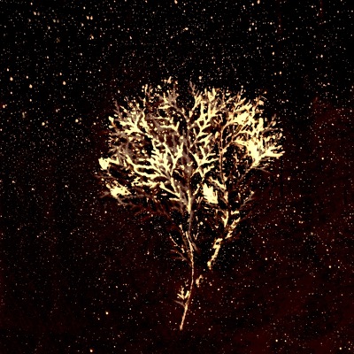 Em Marte Nada Vai Mudar - EP