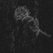 Amor y Flujo - slkt808bass lyrics
