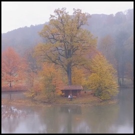 In Love (feat. Roarke & Lovewithme) Devon Rea