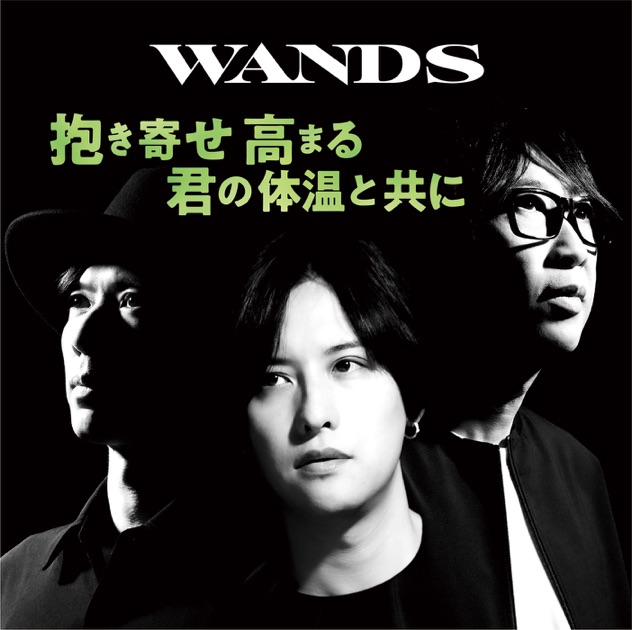 WANDS第5期　ファンクラブ会報　VOL.2〜VOL.7セット WANDS第5期ファンクラブ会報VOL.2〜VOL.7セット
