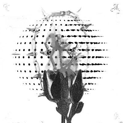 Talk - Single