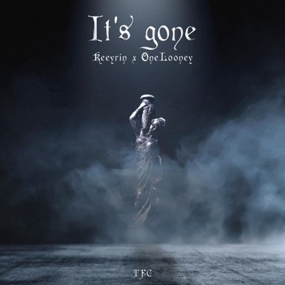 It's gone - Single