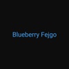 Blueberry Fejgo by Khlaw iTunes Track 1