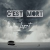 C'est mort (Remix) - Single