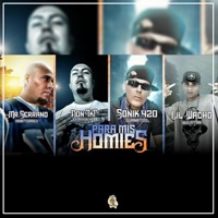 Para Mis Homies (feat. Lil Wacho, Don TkT & Mr Serrano) - Single - Sonik 420