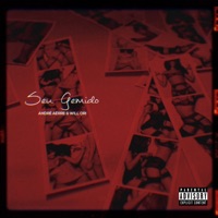 Seu Gemido - Single - Will Ori & André Aérre