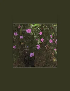MOKES을(를) 듣고, 뮤직 비디오를 보고, 약력을 읽고, 투어 일정 등을 확인하세요!
