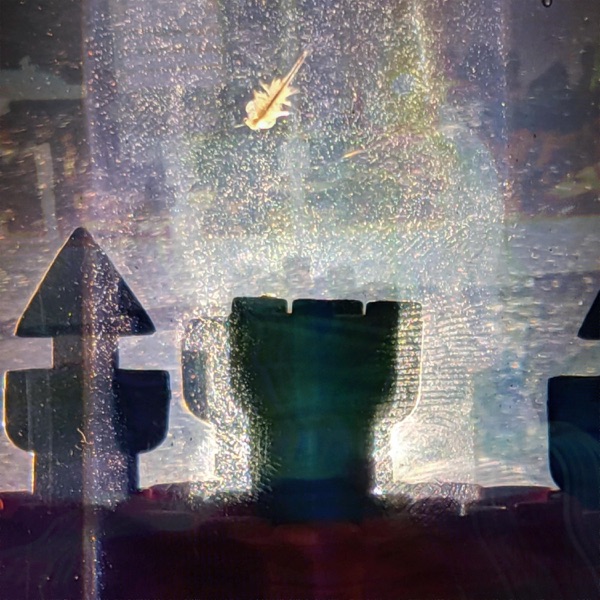Constellation Bay artwork