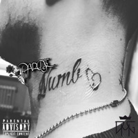 Numb (Remastered) [Remastered] - Single - PAROSE