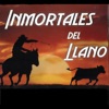 TRAIGO POLVO DEL CAMINO