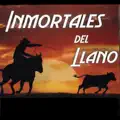 Traigo Polvo del Camino
