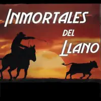 TRAIGO POLVO DEL CAMINO