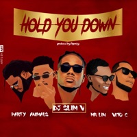 Hold You Down (feat. Vito C, Mr Lin & de PartyAnimals) - Single - Deejay Slim V