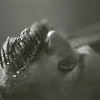Hör dir undefined an, schau dir Musikvideos an, lies die Biografie, finde Tourdaten und mehr!