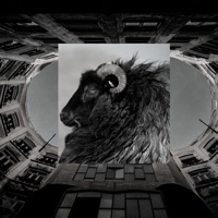 Ovelha Negra - Single - Avattar