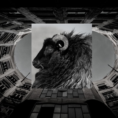 Ovelha Negra - Single