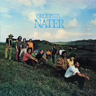 descargar álbum Orquesta Nater - Orquesta Nater