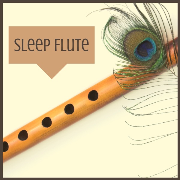 Sleep Flute - Indian Hypnotic Healing Music