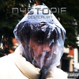 Johnny Hallyday CestCalvin