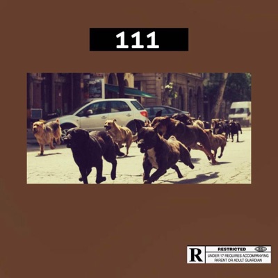 111 - Single