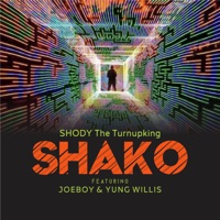 Shako (feat. Joeboy & Yung Willis) - Single - ShodyTheTurnUpKing