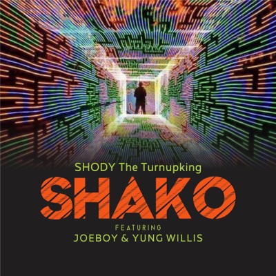 Shako (feat. Joeboy & Yung Willis) - Single