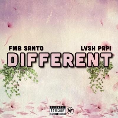 Different (feat. Lvsh Papi) - Single