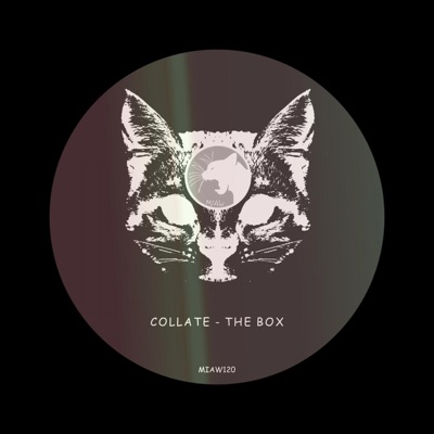 The Box - Single