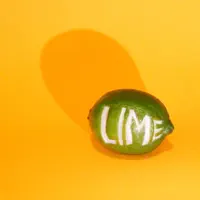 Lime — Your Fearless Leader