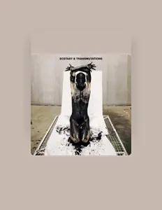 Ouve Anfs, vê vídeos de música, lê a biografia, vê as datas da digressão e muito mais!