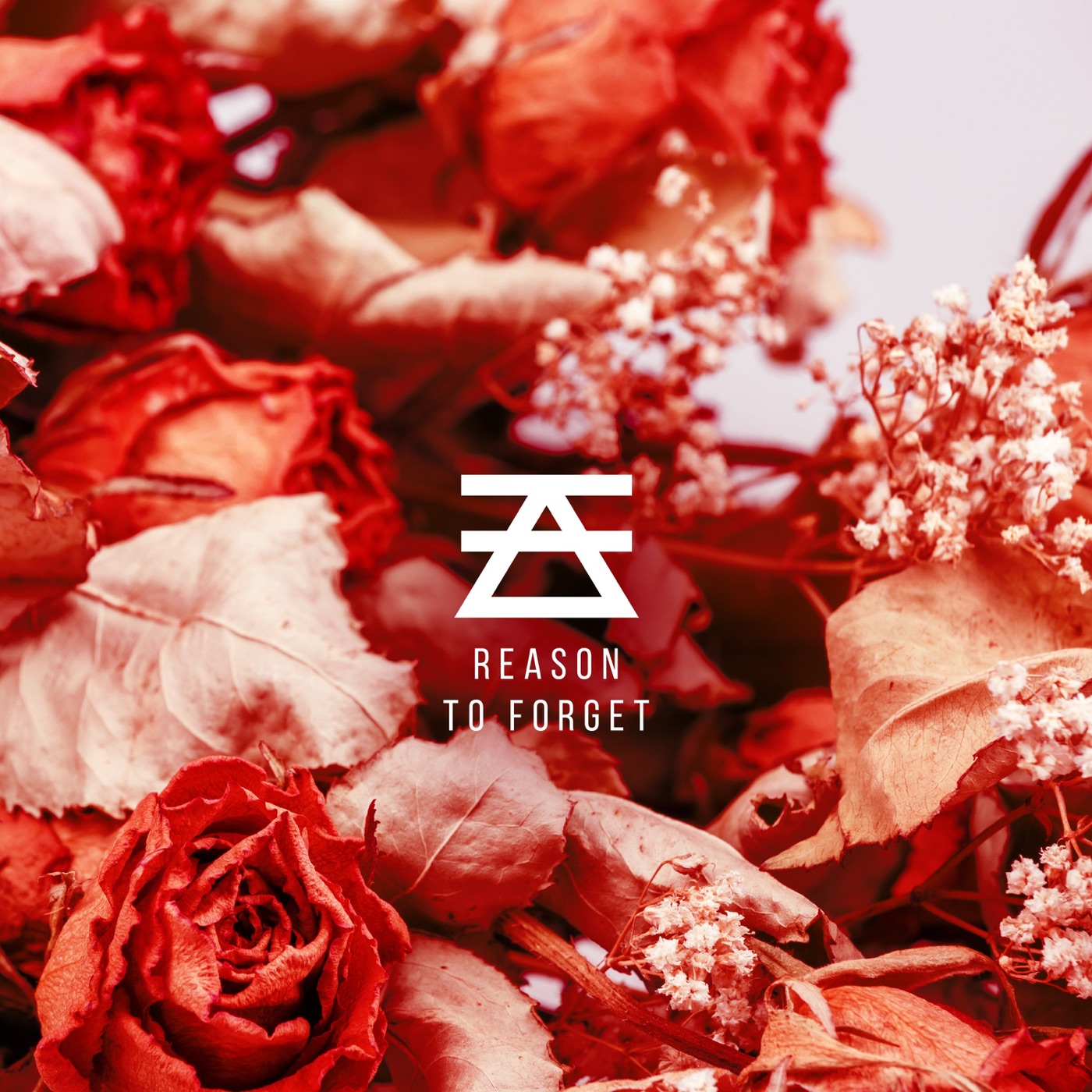 Amongst Thieves - Reason to Forget [single] (2019)