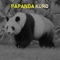 ant - PAPANDA lyrics